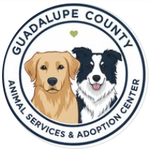 Guadalupe County Animal Services and Adoption Center image of two dogs